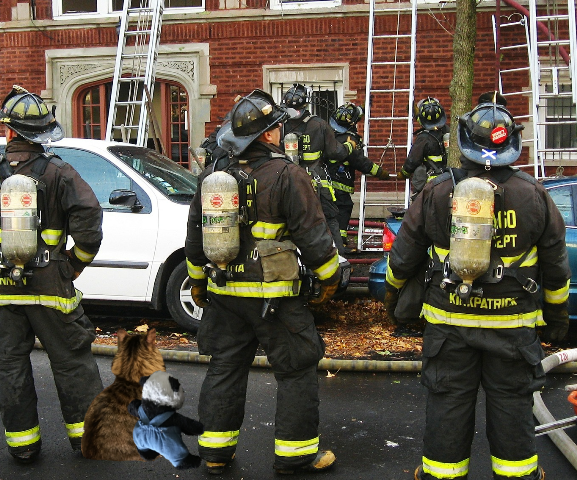 a looking at building