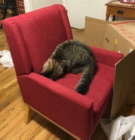 chairwithcushion