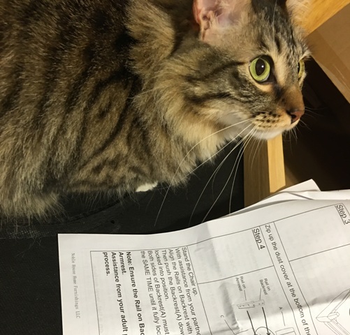 fosterwithdirections