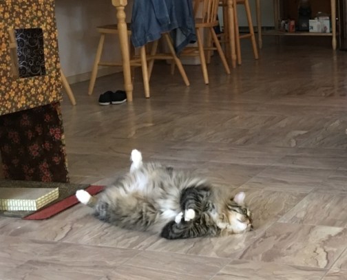 looking up from floor