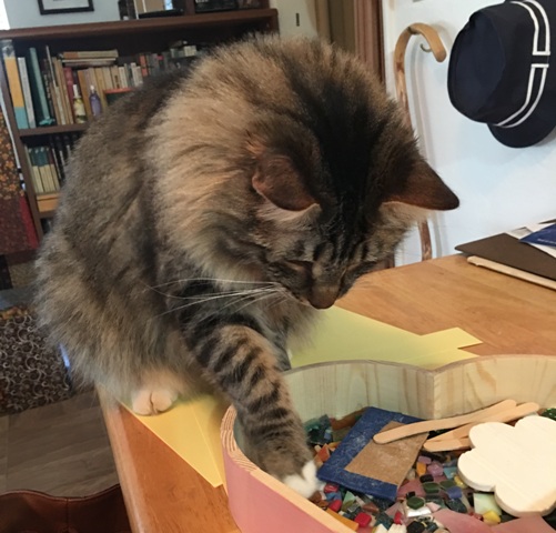 Foster choosing colors