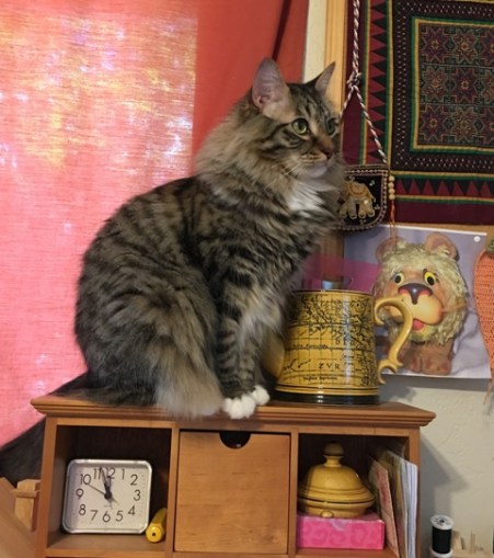 sewing room cat