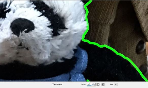 panda close up crop small