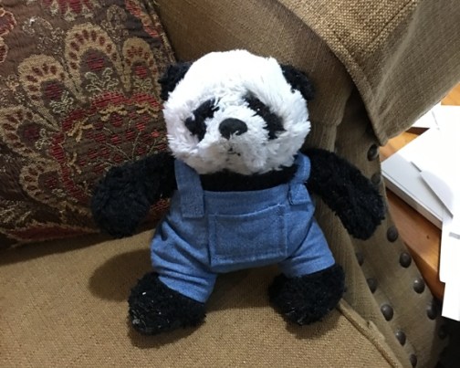 panda on couch