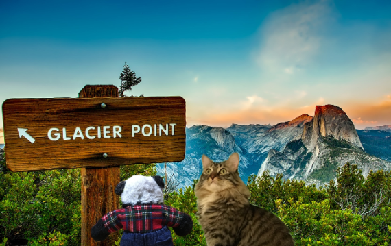 seeing glacier point sign