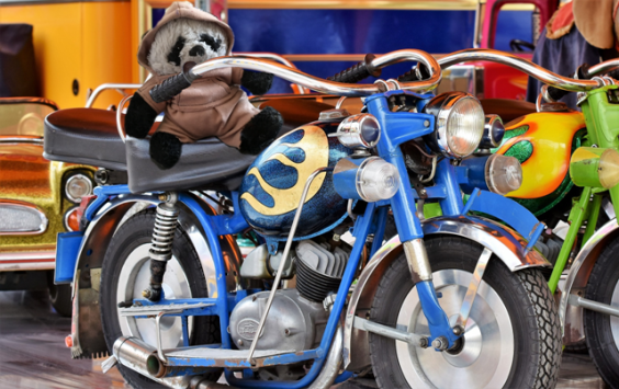 a panda on motorcycle