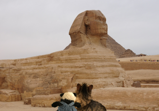 a seeing the sphinx