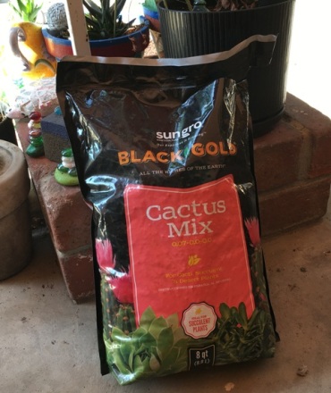 cactus mix