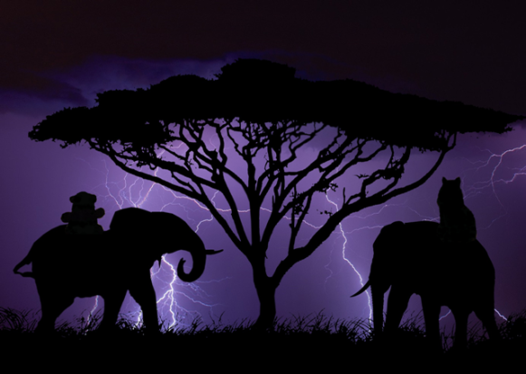 a storm and elephants