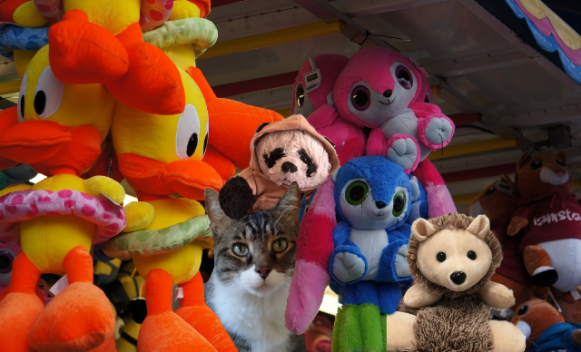 a hiding with animals