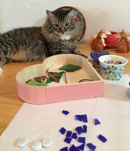 Foster looking at tiles