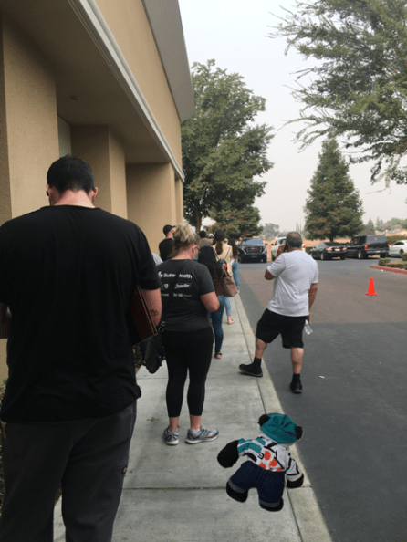 a Panda looking forward