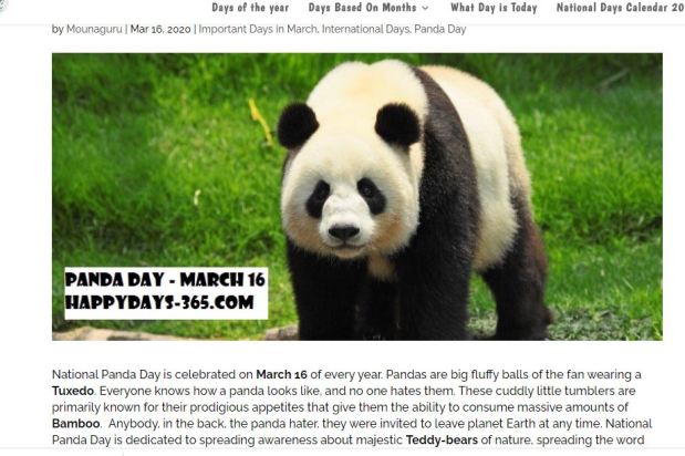 panda day 2020