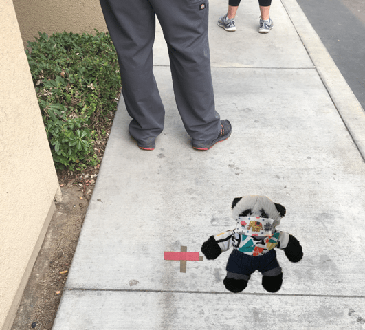 a panda points to line