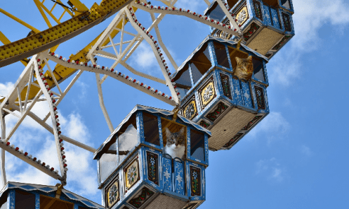 a benji and tiger on ferris wheel