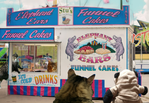 a elephant ears benji and Tiger