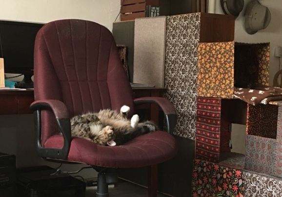 Foster on chair