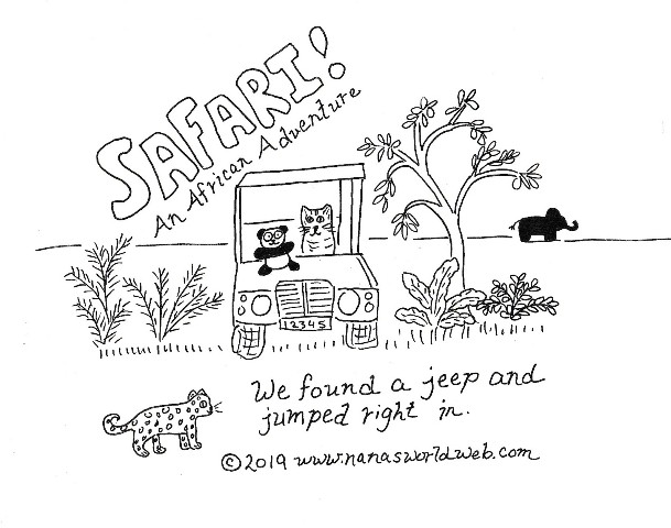 a safari