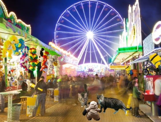 a meeting about Benji 2