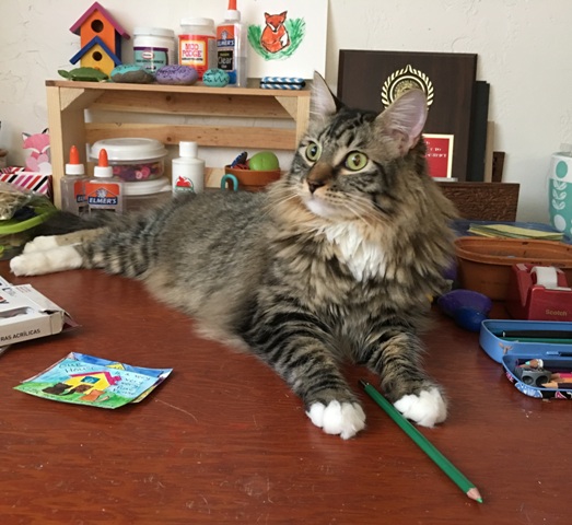 Foster with pencil
