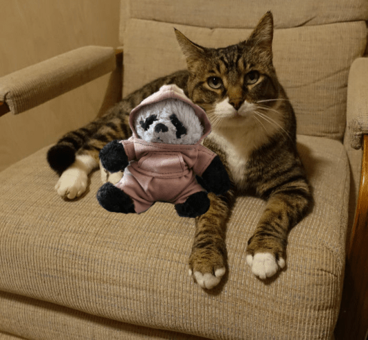 panda and tiger in chair sweats