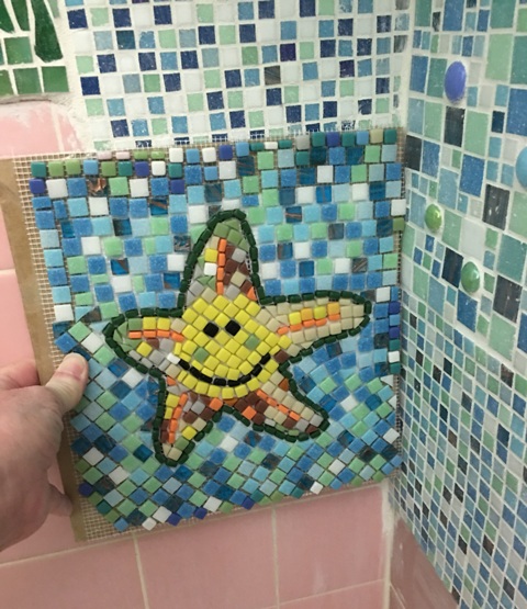 placing starfish