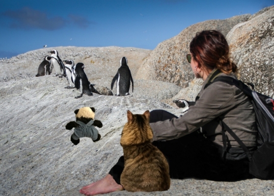 a with girl and penguins